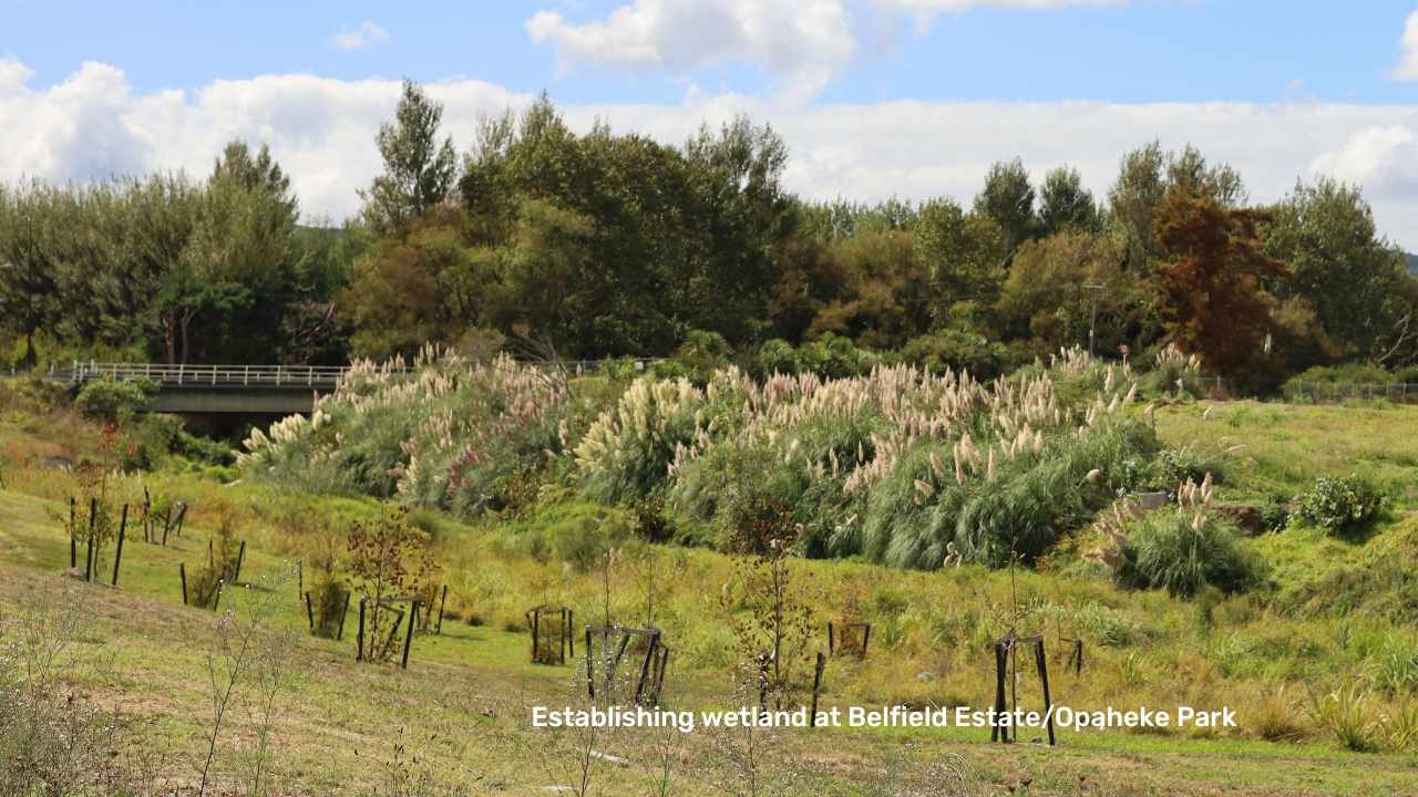 Bellfield Estate Wetland Reset Urban Design 1 SMALL