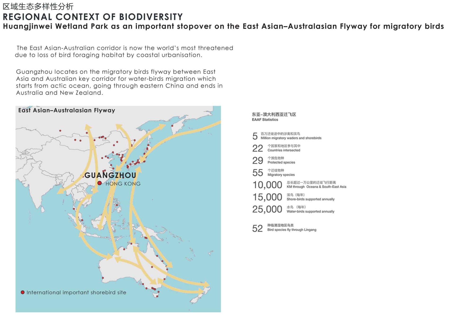 HuangJinWei 1 Bird Migration ISSUE